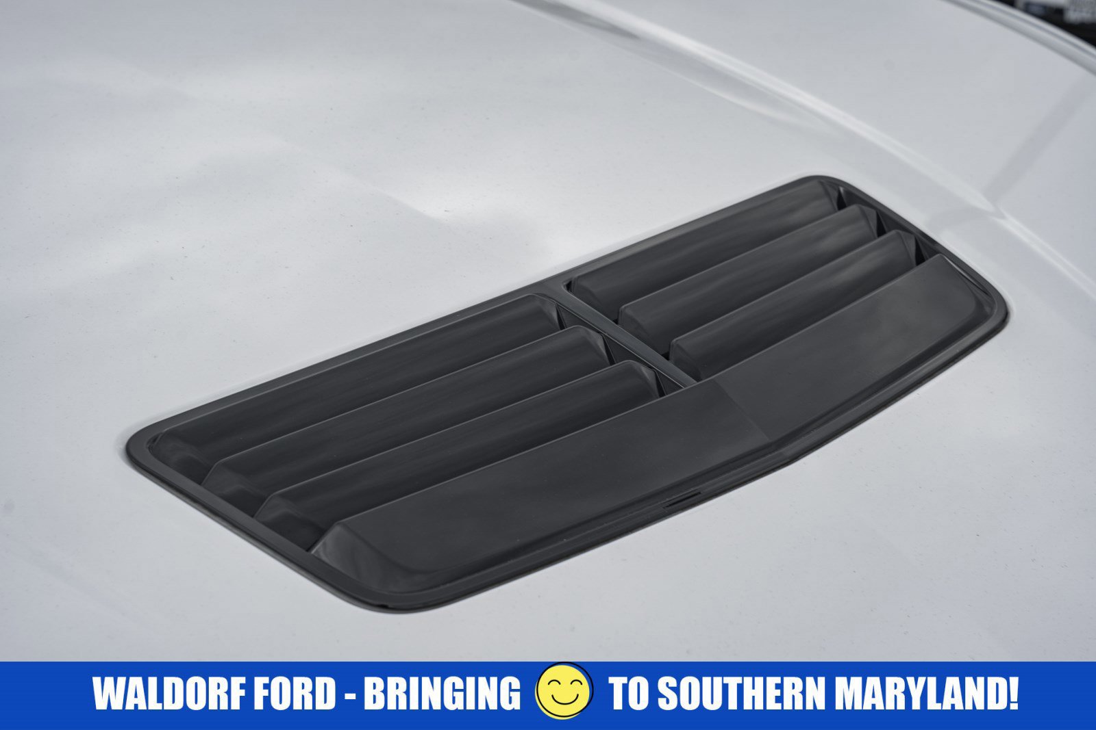 Certified 2024 Ford Mustang GT image 14