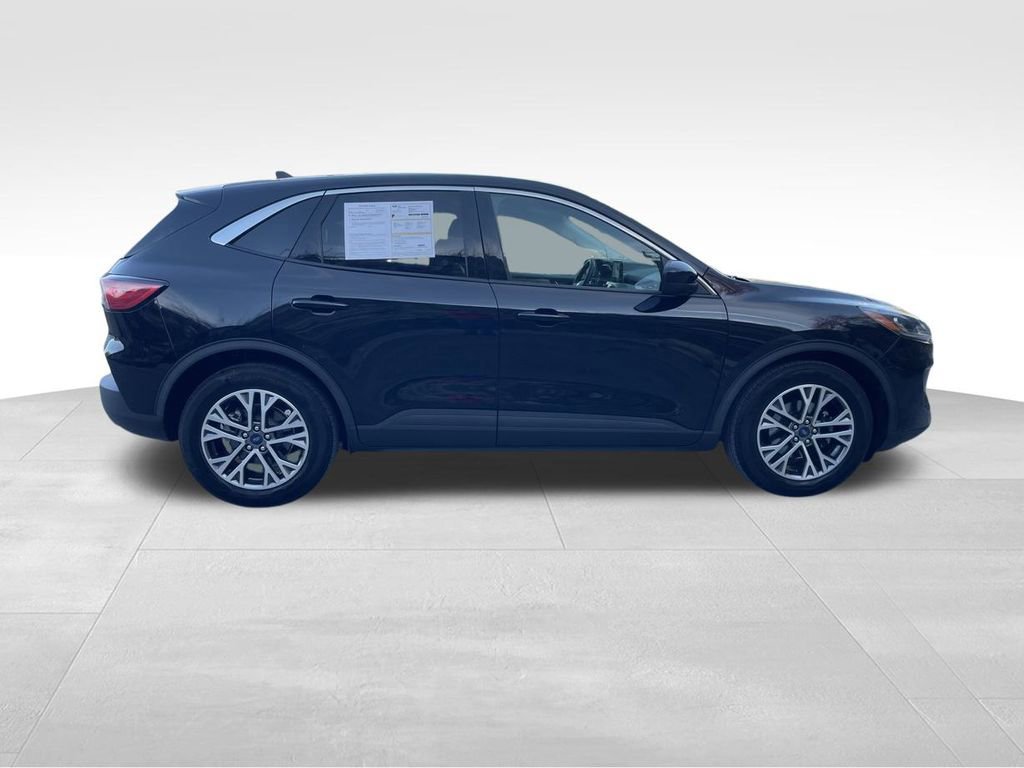 Certified 2022 Ford Escape SEL image 6