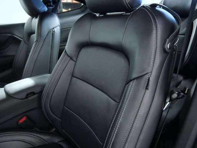 Certified 2025 Ford Mustang GT Premium w/ Mustang Nite Pony Package RWD image 19