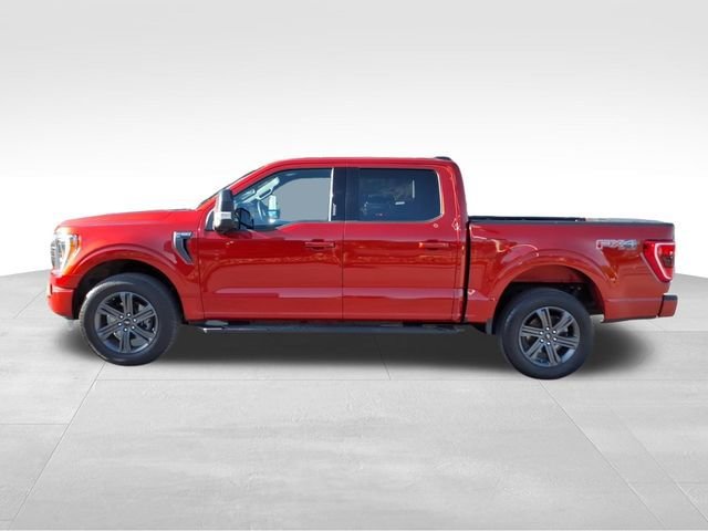 Certified 2023 Ford F150 XLT w/ Equipment Group 302A High AWD/4WD image 7