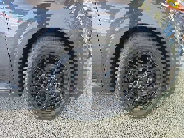 Used 2025 Kia Carnival SX Prestige image 11