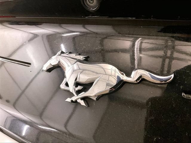 Certified 2021 Ford Mustang Premium RWD image 13