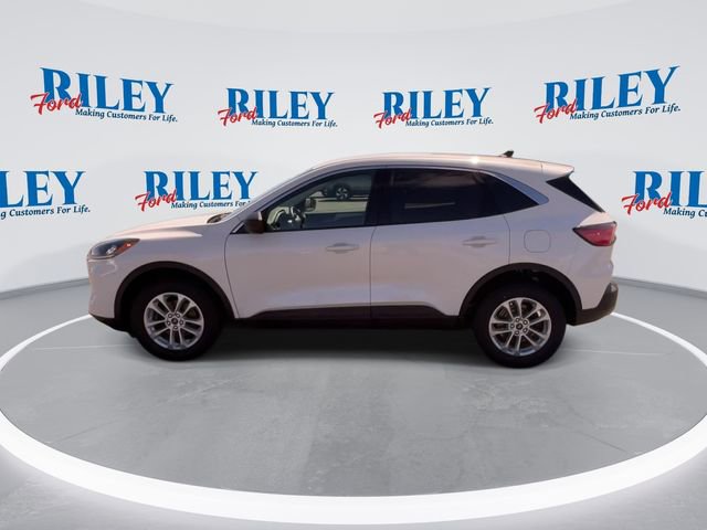 Certified 2022 Ford Escape SE w/ Cold Weather Package AWD/4WD image 6