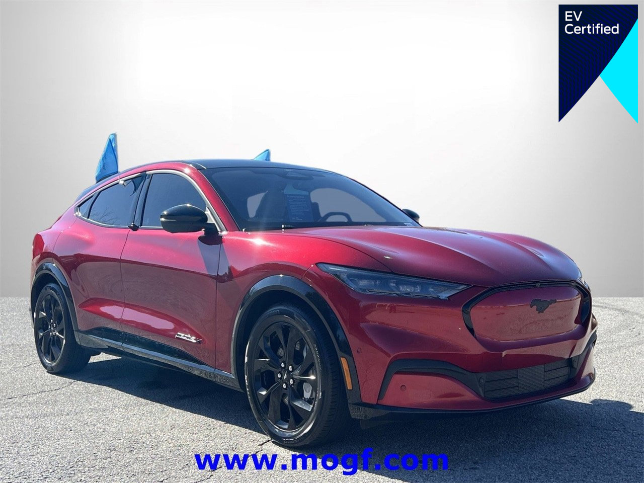 Certified 2023 Ford Mustang Mach-E Premium w/ Mustang Nite Pony Package image 1