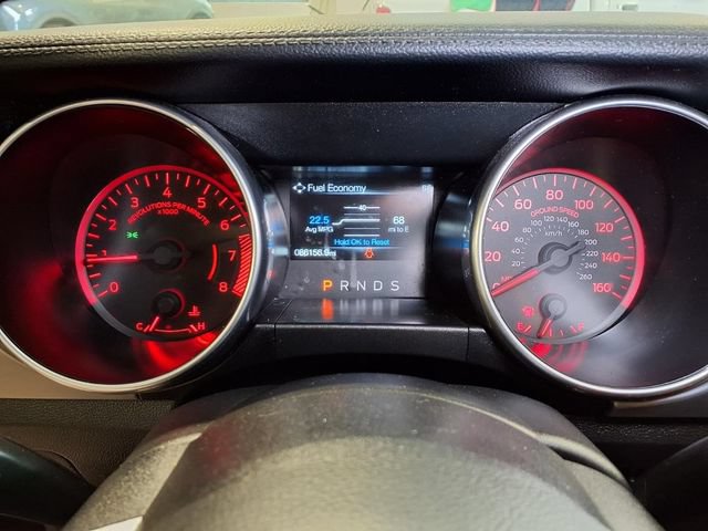 Certified 2019 Ford Mustang Premium RWD image 13