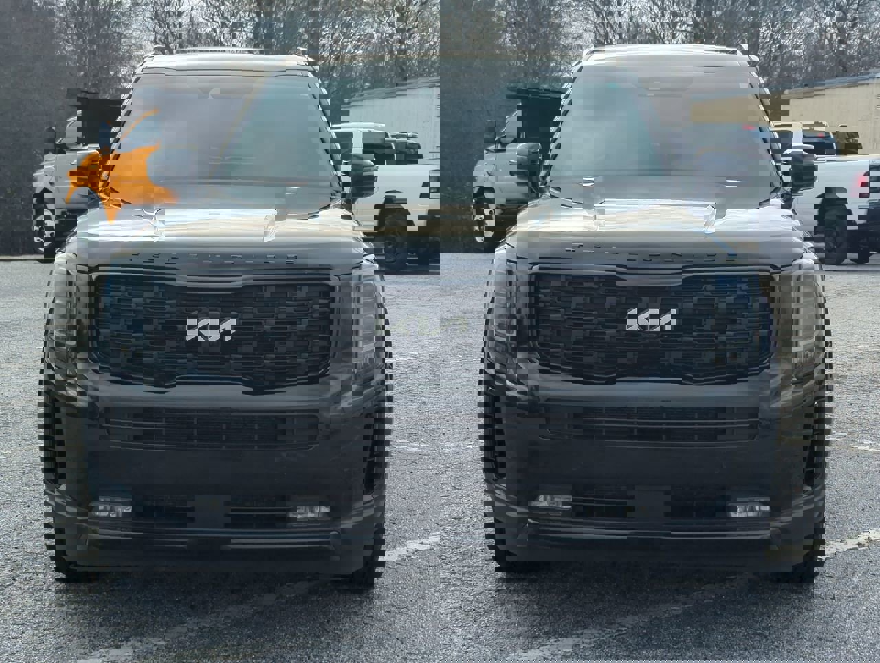 Used 2022 Kia Telluride SX w/ SX Prestige Package image 7