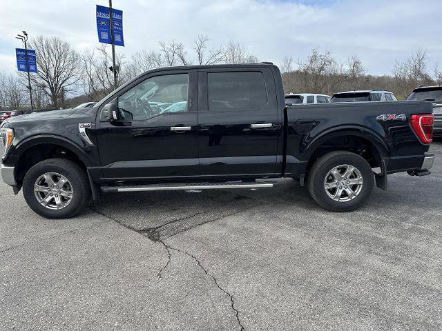 Certified 2023 Ford F150 XLT w/ Equipment Group 302A High image 6