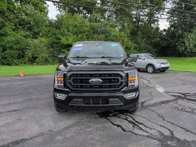 Certified 2021 Ford F150 XLT w/ Equipment Group 302A High AWD/4WD image 2