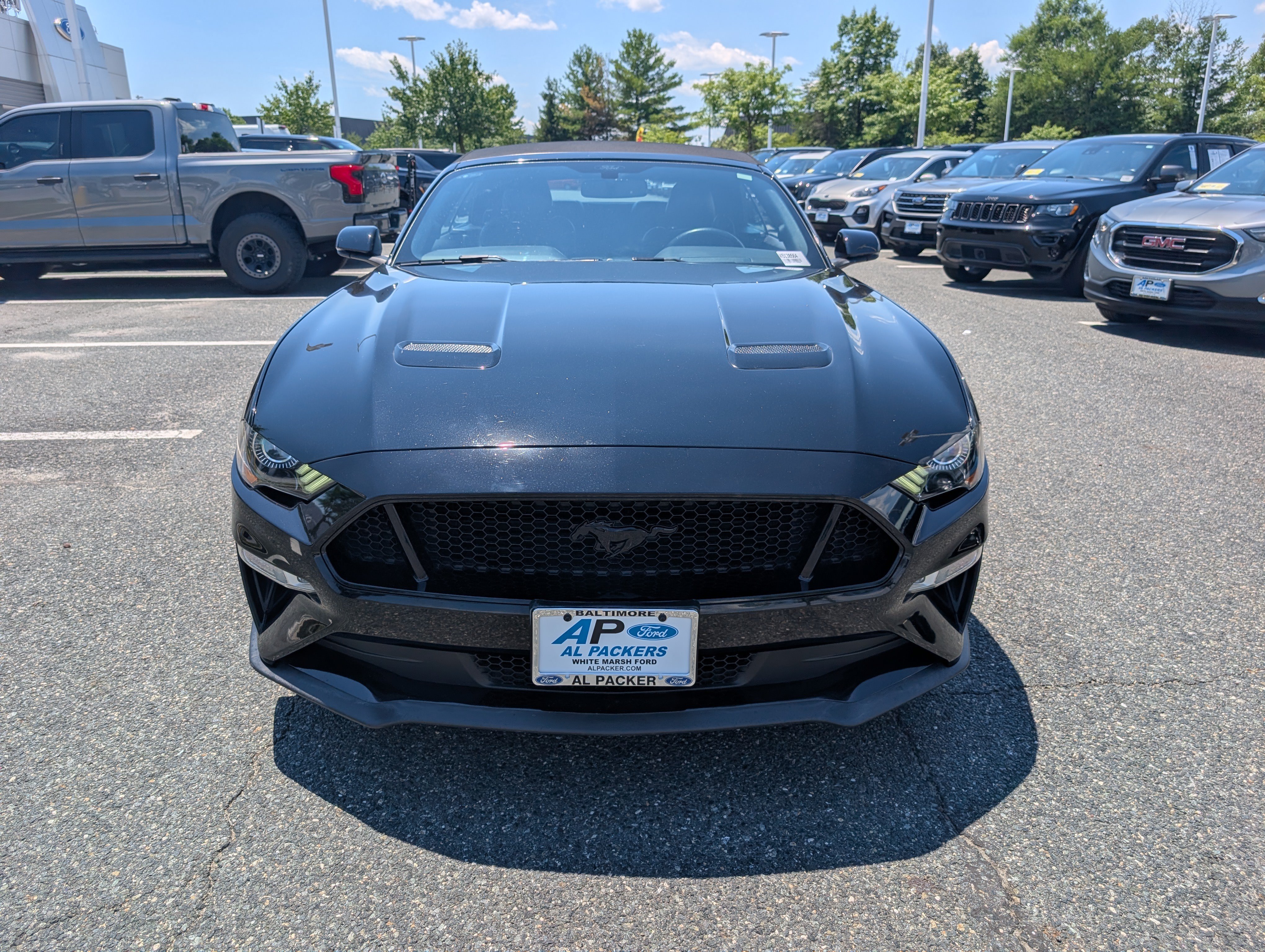 Certified 2019 Ford Mustang GT Premium w/ Equipment Group 401A RWD image 8
