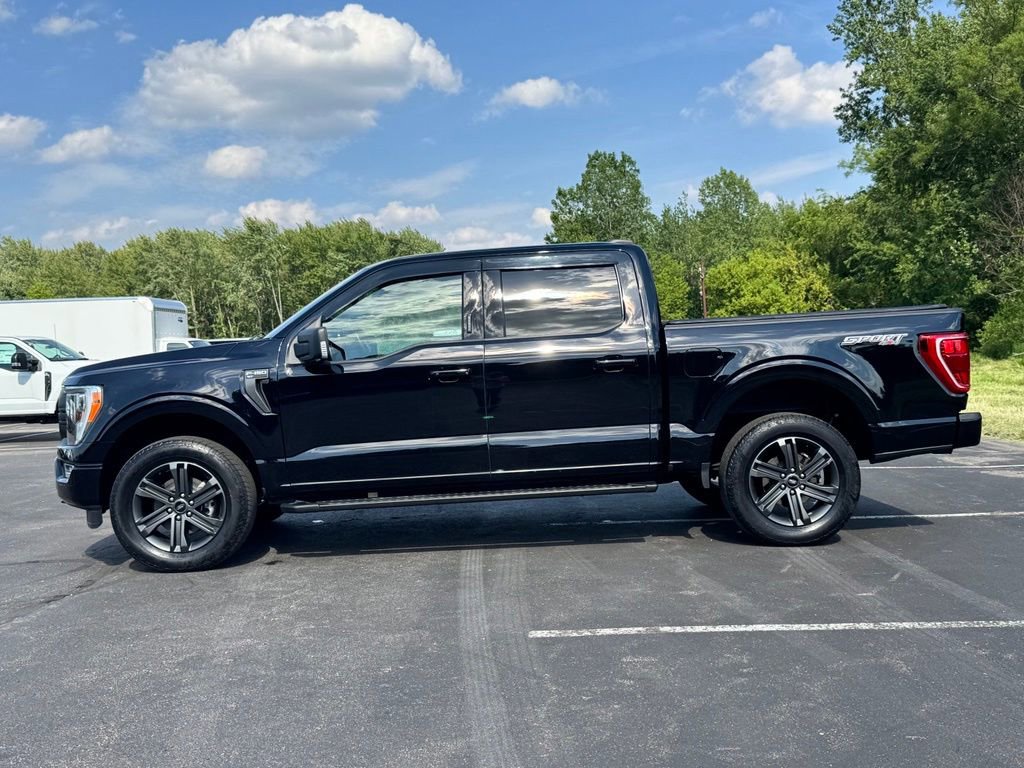 Certified 2023 Ford F150 XLT w/ Equipment Group 302A High AWD/4WD image 7