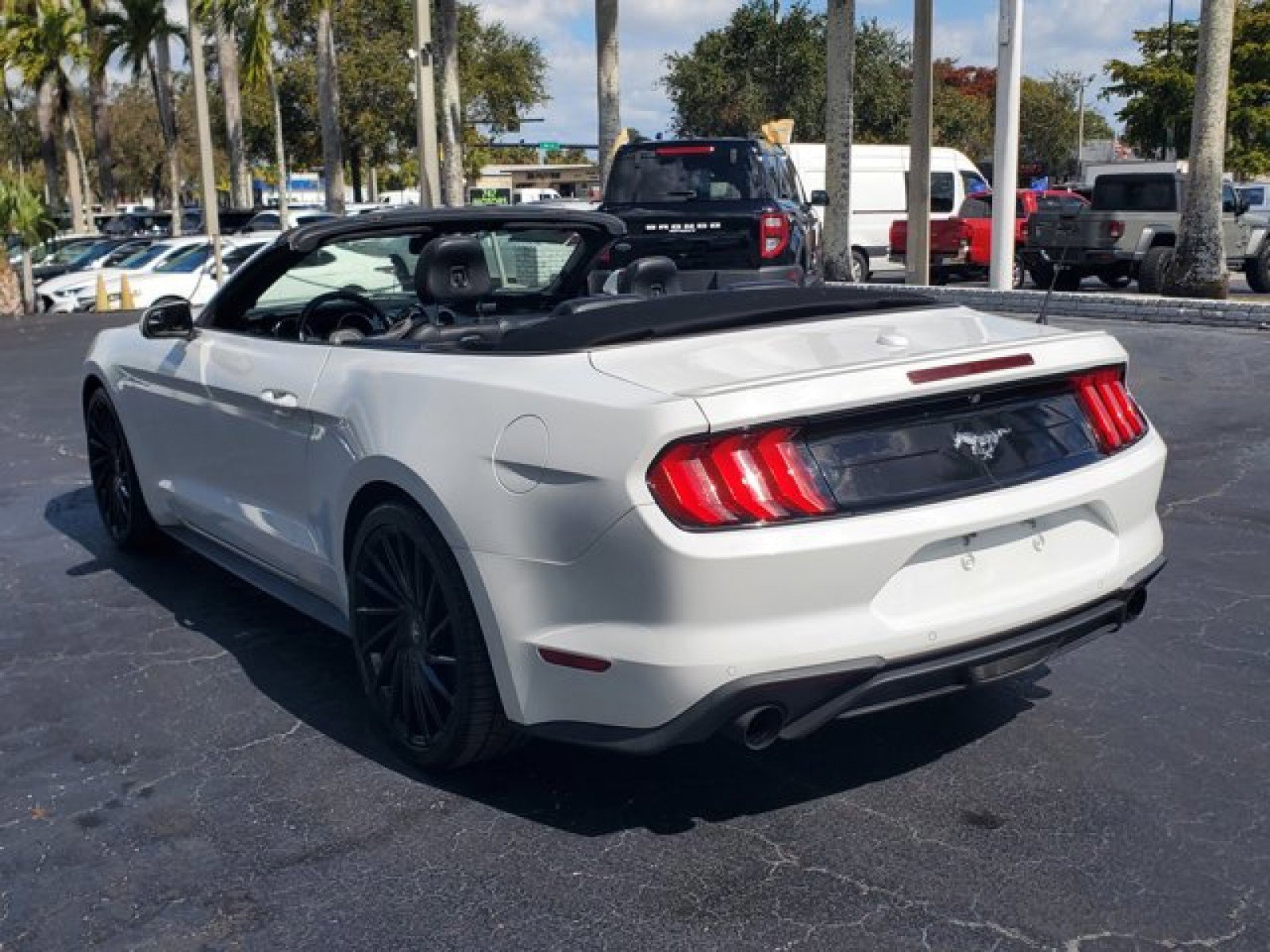 Certified 2019 Ford Mustang Premium image 2