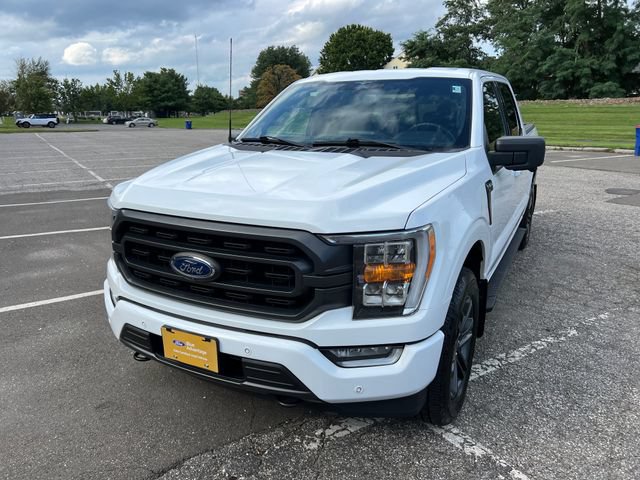Certified 2023 Ford F150 XLT w/ Equipment Group 302A High AWD/4WD image 4