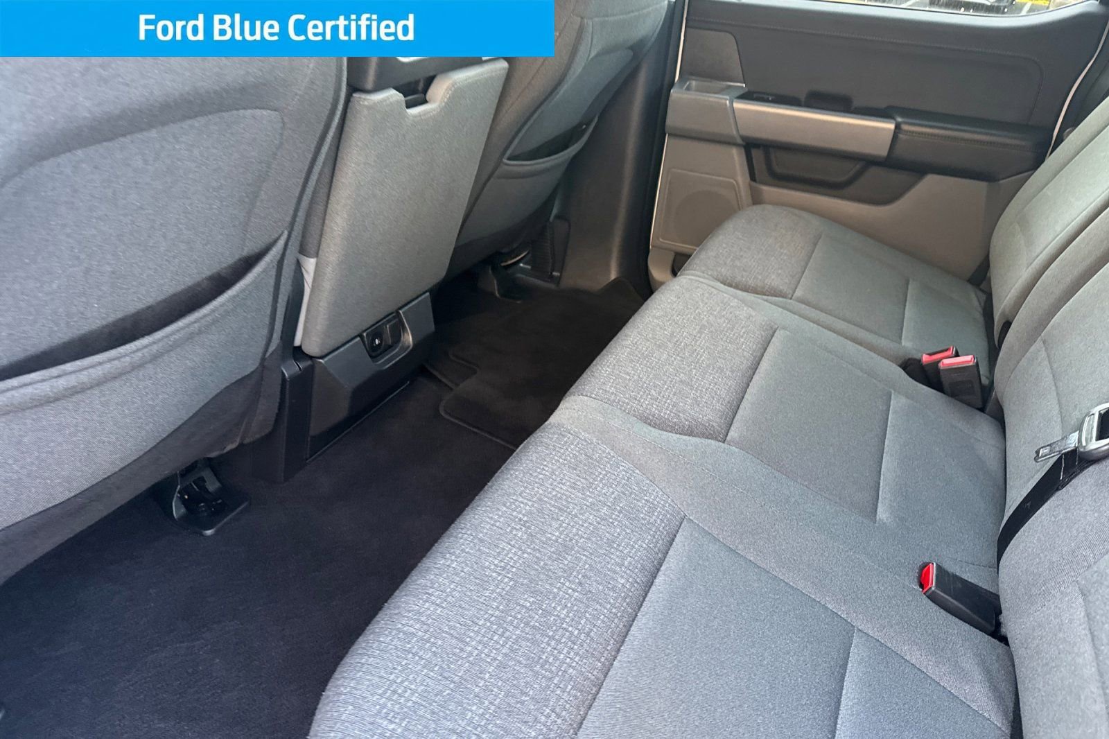 Certified 2025 Ford F150 XLT w/ Equipment Group 301A Standard image 13