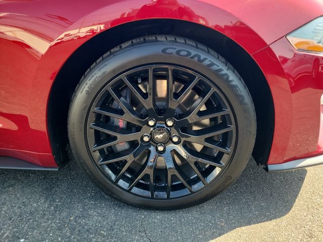 Certified 2019 Ford Mustang GT Premium w/ GT Performance Package RWD image 6