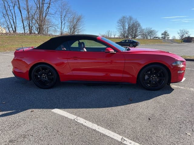 Certified 2019 Ford Mustang Premium w/ Equipment Group 201A image 11
