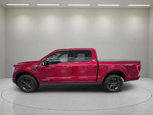 Certified 2021 Ford F150 XLT w/ Equipment Group 302A High image 9