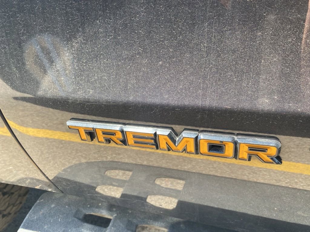Certified 2025 Ford Expedition Tremor AWD/4WD image 16