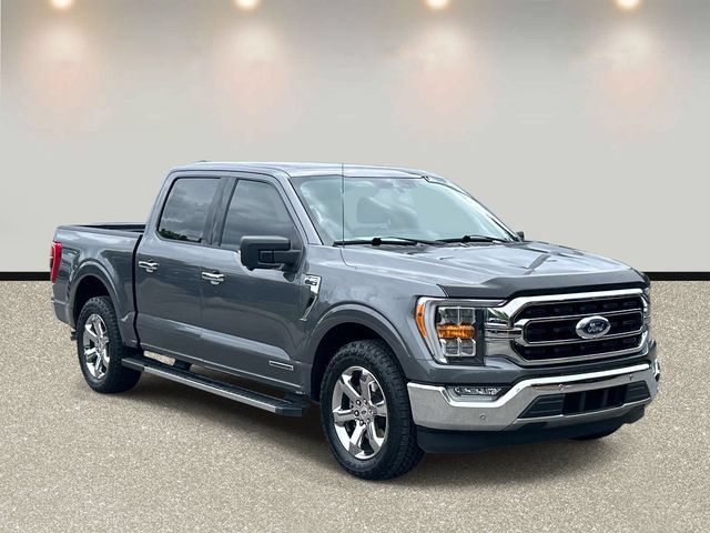 Certified 2021 Ford F150 XLT w/ Equipment Group 302A High RWD image 3