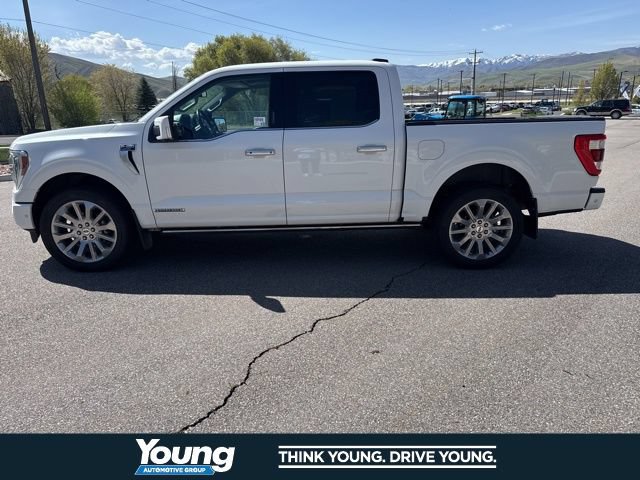 Certified 2023 Ford F150 Limited AWD/4WD image 3