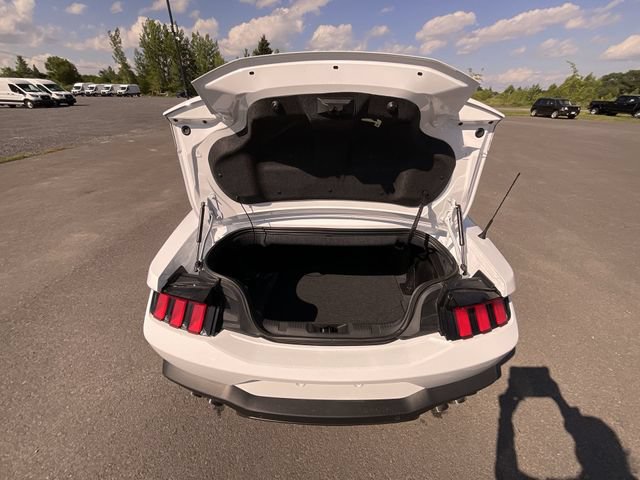 Certified 2024 Ford Mustang GT Premium RWD image 24