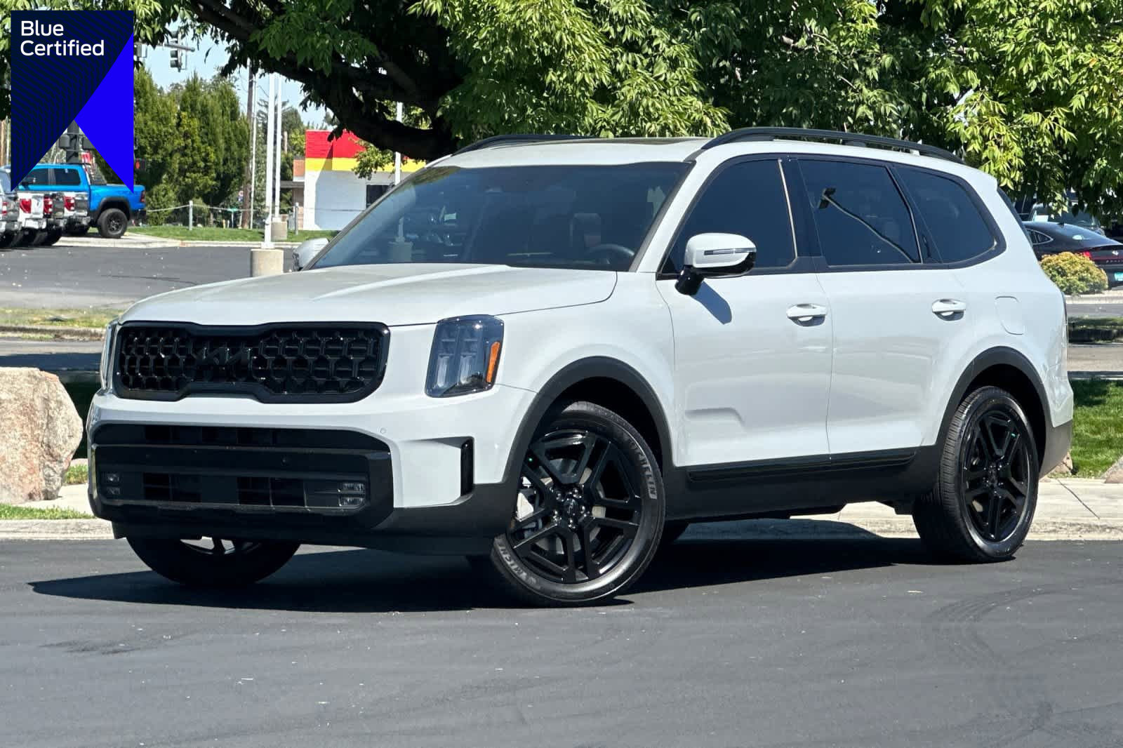 Used 2025 Kia Telluride SX Prestige X-Line