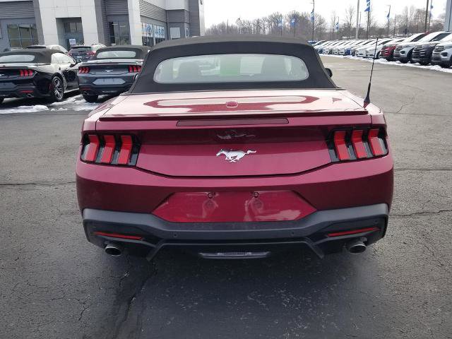 Certified 2025 Ford Mustang Premium w/ Wheel & Stripe Package image 3