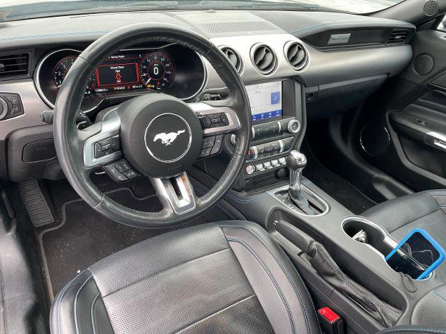 Certified 2023 Ford Mustang GT Premium w/ Equipment Group 401A image 10