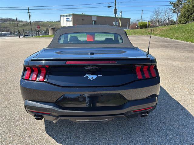 Certified 2024 Ford Mustang Premium image 4