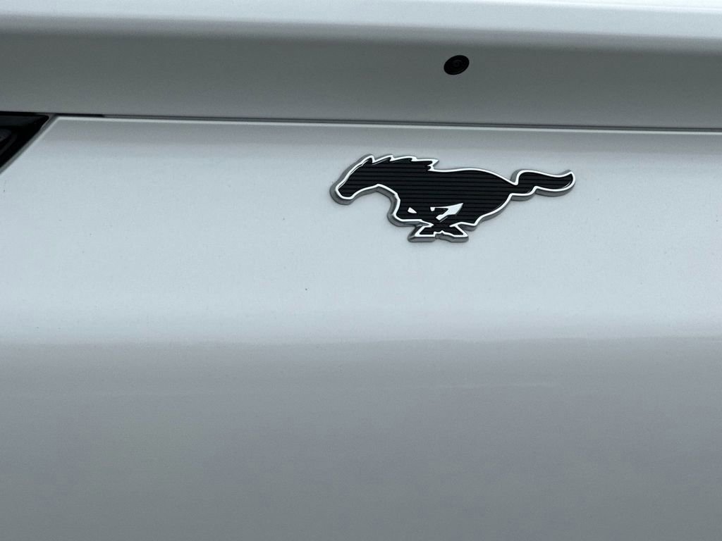 Certified 2025 Ford Mustang Mach-E Premium image 26