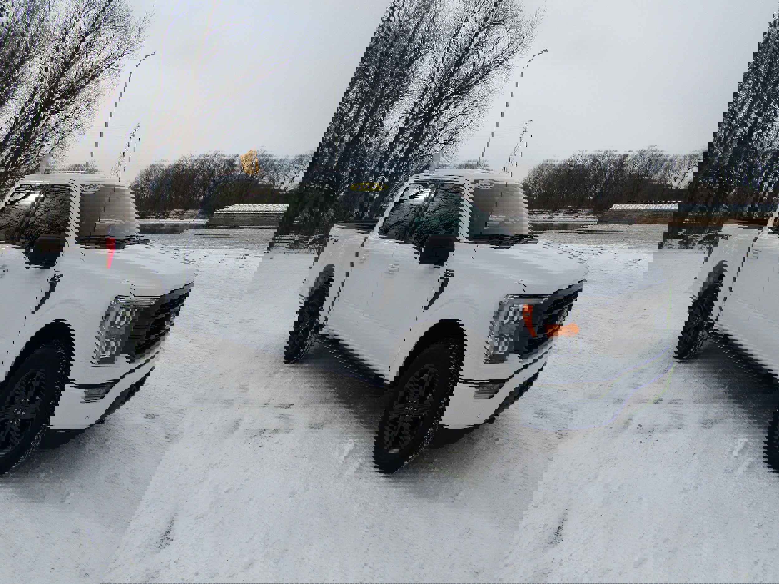 Certified 2023 Ford F150 XLT w/ Equipment Group 302A High image 6