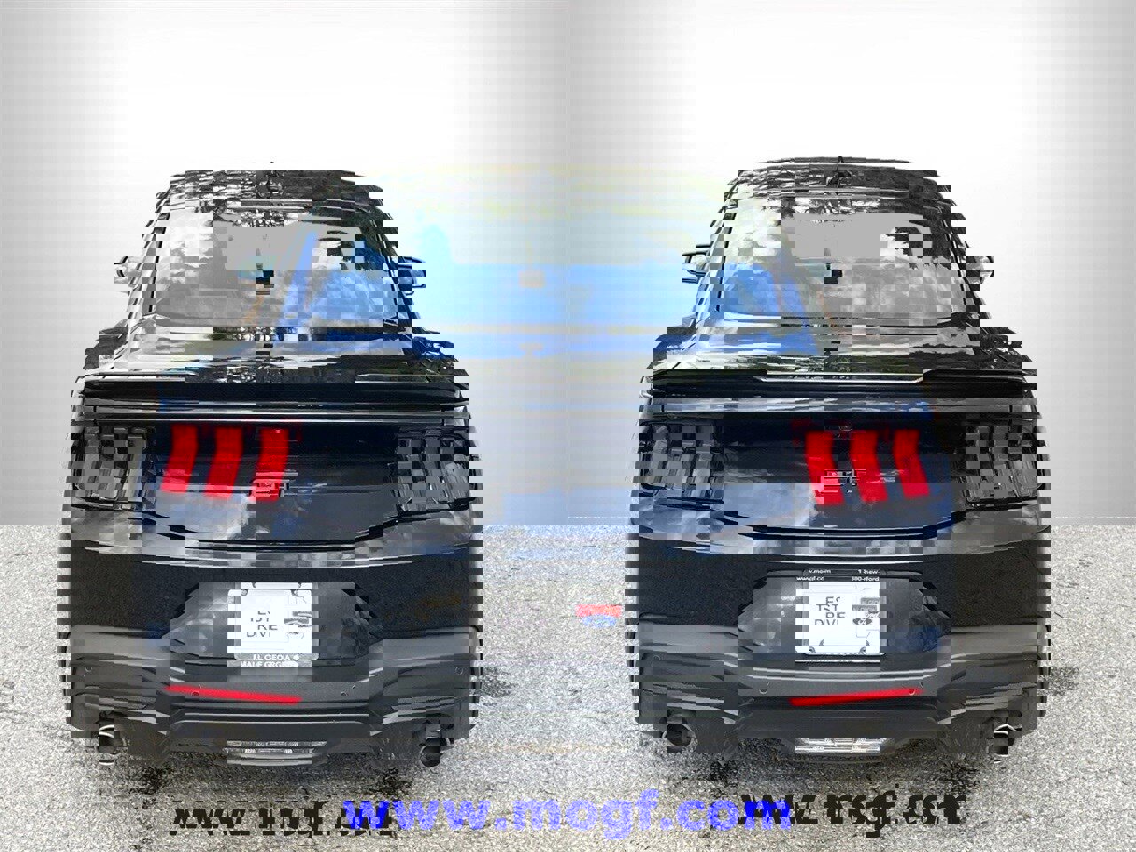 Certified 2024 Ford Mustang GT image 4