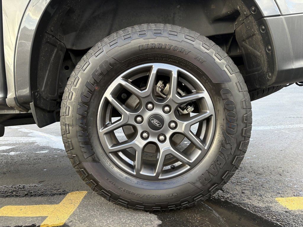 Certified 2024 Ford Ranger XLT w/ Equipment Group 301A High image 14