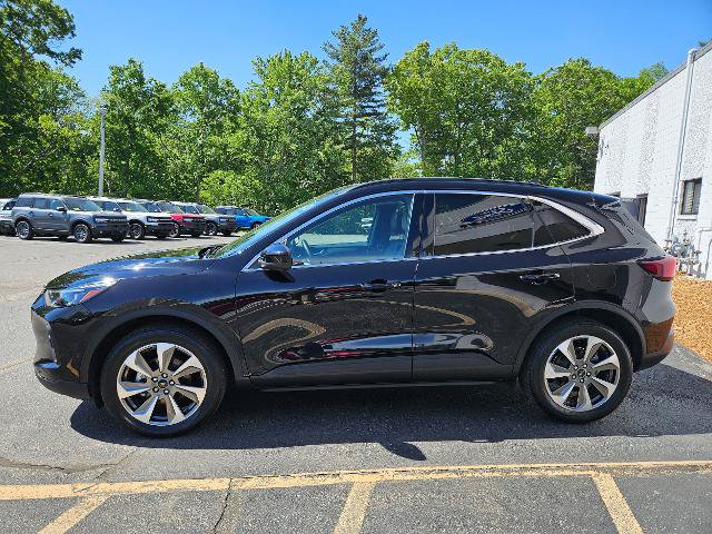Certified 2024 Ford Escape Platinum w/ Premium Technology Package AWD/4WD image 8