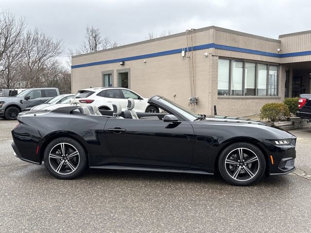 Certified 2024 Ford Mustang Premium image 6