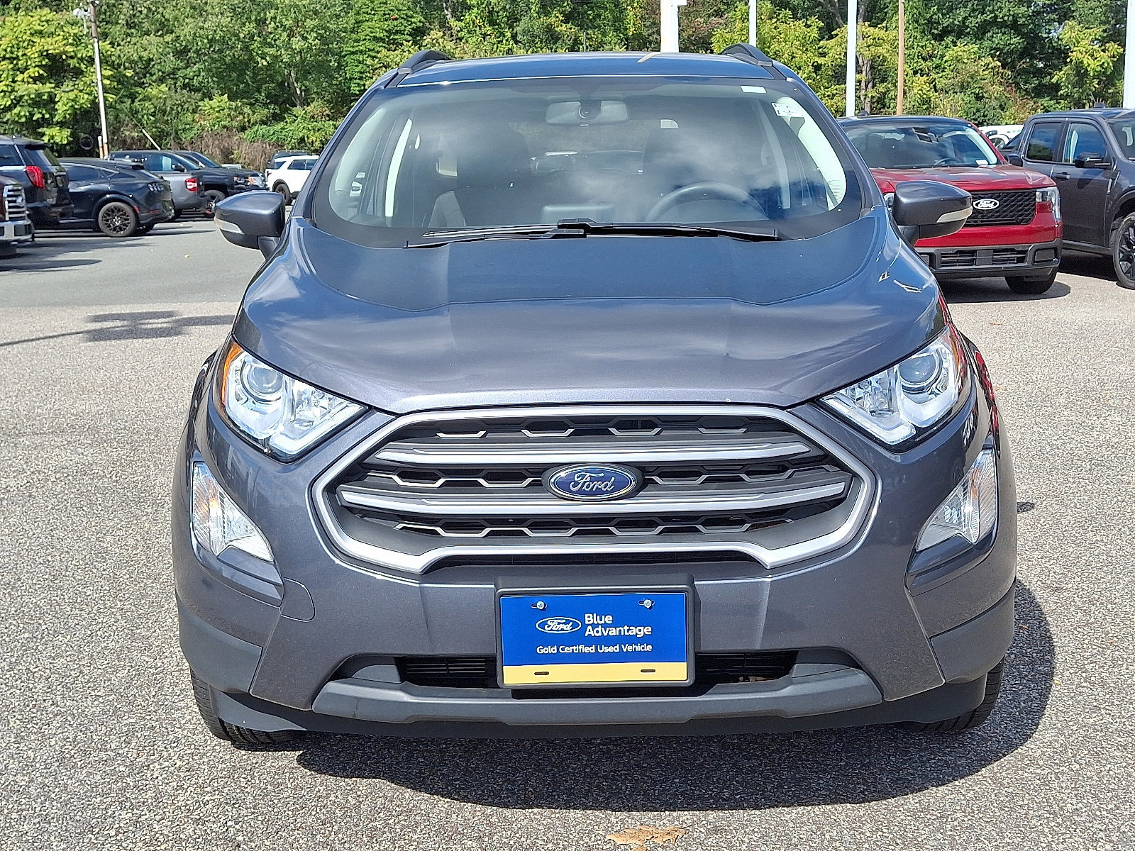 Certified 2022 Ford EcoSport SE image 12
