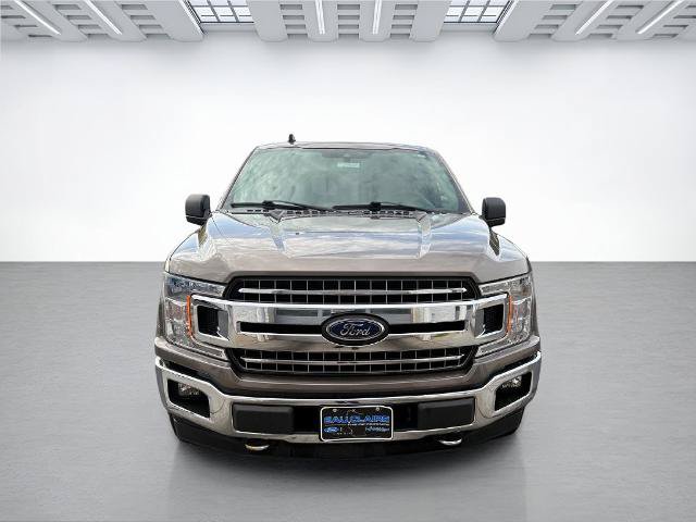 Certified 2019 Ford F150 XLT w/ Equipment Group 302A Luxury AWD/4WD image 8