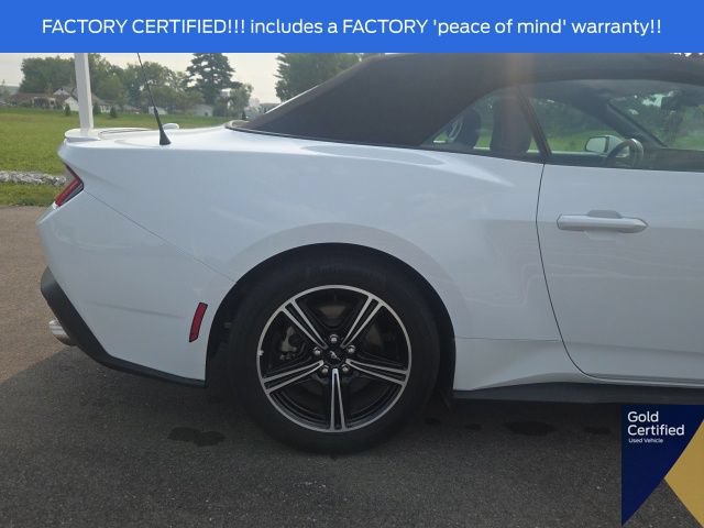 Certified 2025 Ford Mustang Premium RWD image 11