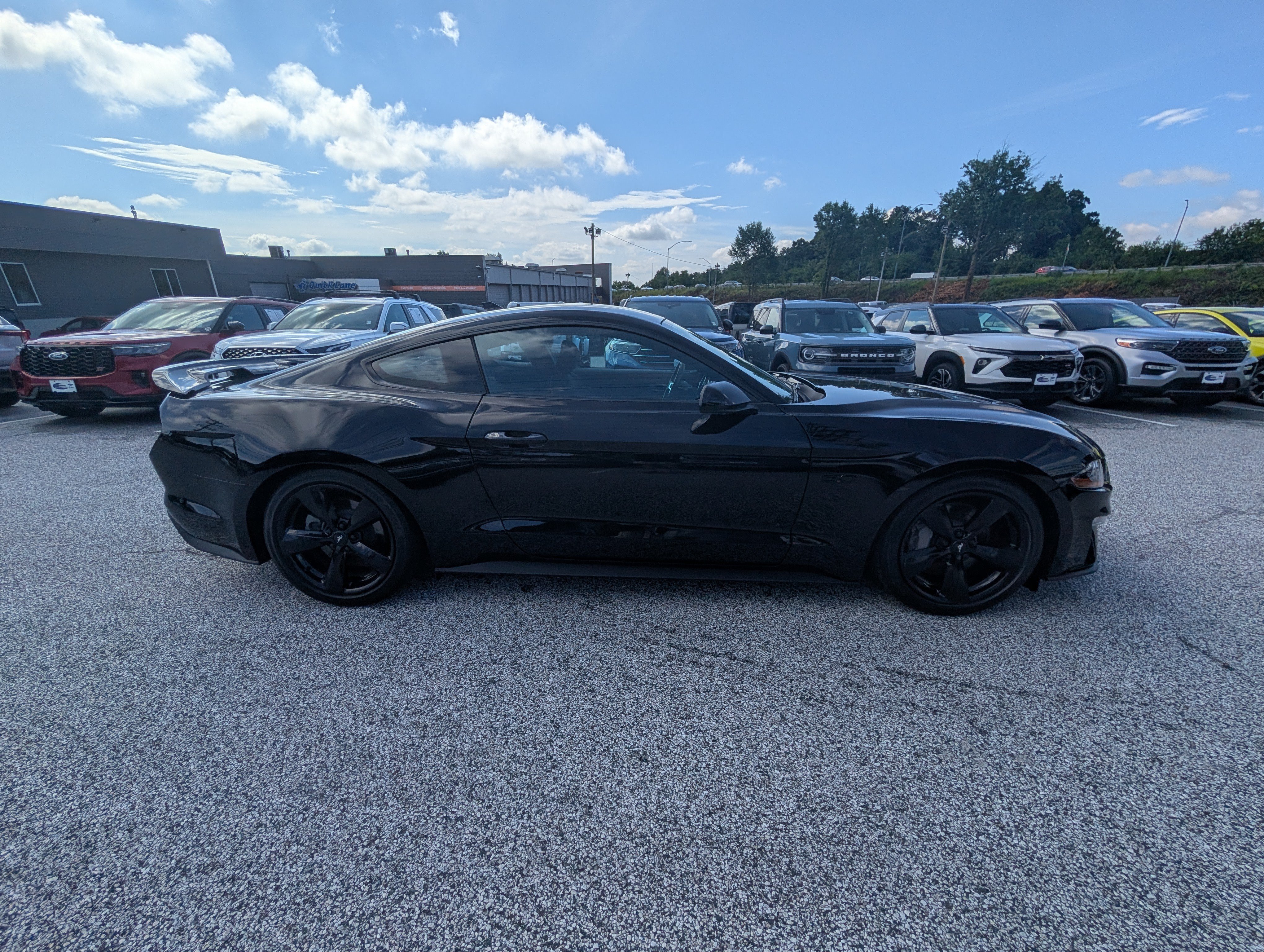 Certified 2022 Ford Mustang GT w/ Equipment Group 301A RWD image 8