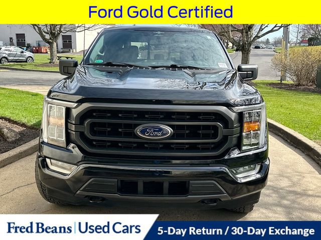 Certified 2023 Ford F150 XLT w/ Equipment Group 302A High image 8