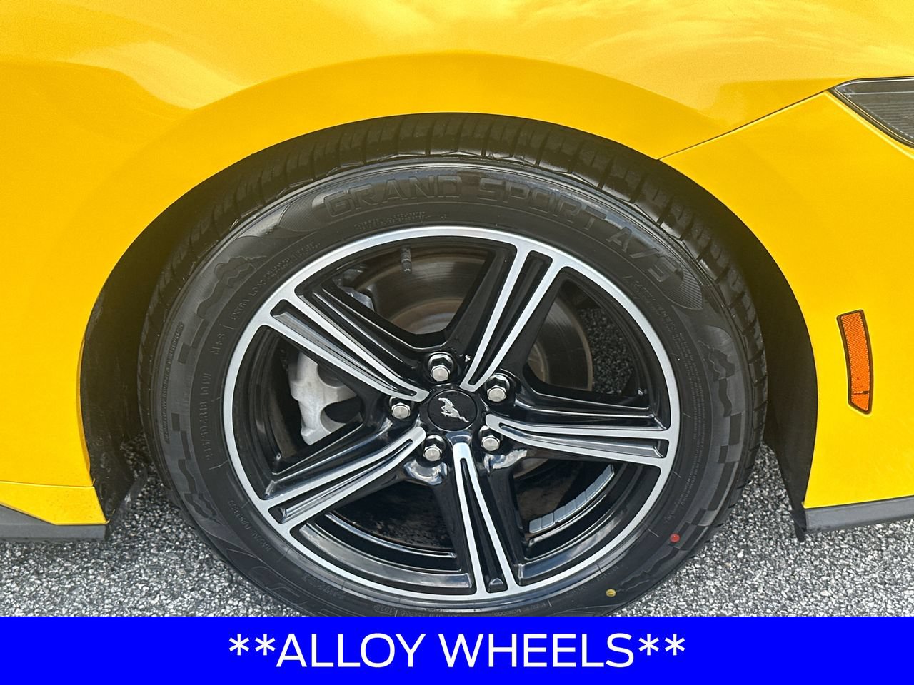 Certified 2024 Ford Mustang Premium RWD image 14