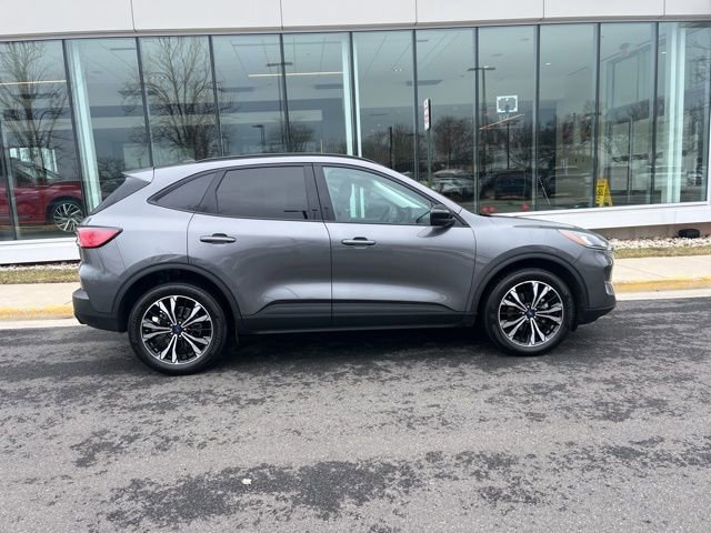 Certified 2022 Ford Escape SEL w/ SEL Stealth AWD Package image 6
