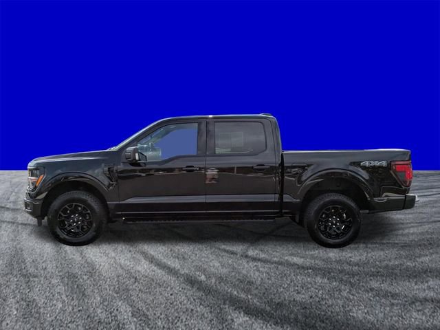Certified 2025 Ford F150 XLT w/ Equipment Group 302A MID AWD/4WD image 7