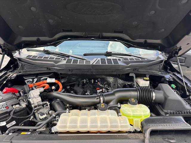 Certified 2024 Ford F150 XLT w/ Equipment Group 303A High AWD/4WD image 30