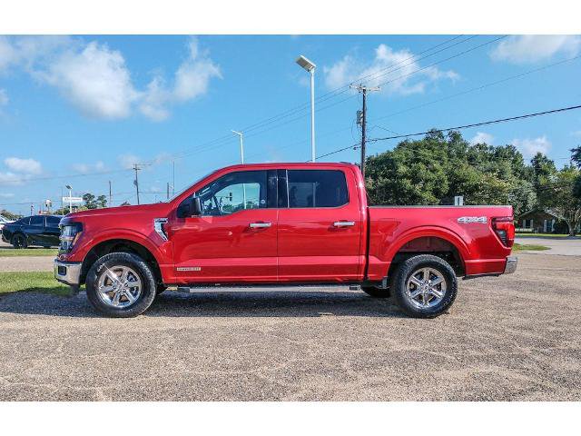 Certified 2025 Ford F150 XLT w/ Equipment Group 301A Standard AWD/4WD image 2