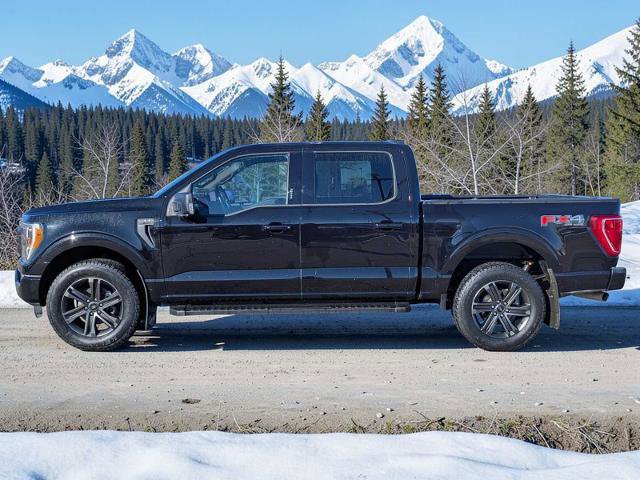 Certified 2022 Ford F150 XLT w/ Equipment Group 302A High image 6