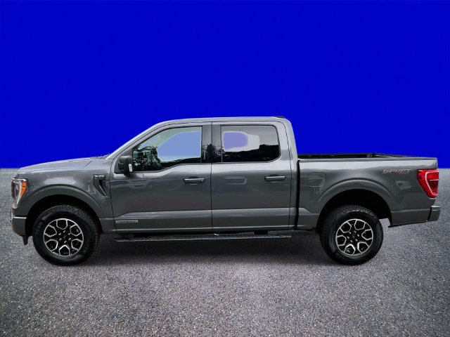 Certified 2023 Ford F150 XLT w/ Equipment Group 302A High AWD/4WD image 6