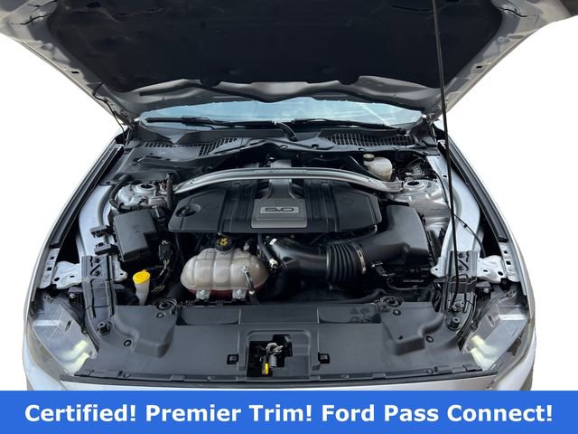 Certified 2019 Ford Mustang GT Premium w/ Equipment Group 401A RWD image 16