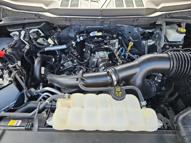 Certified 2023 Ford F150 XL w/ STX Appearance Package RWD image 33