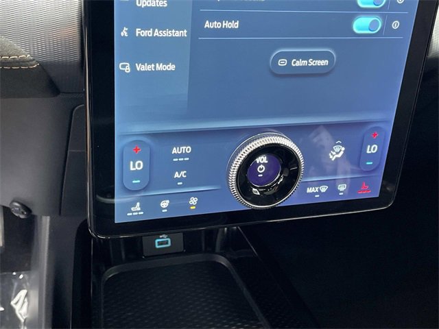 Certified 2021 Ford Mustang Mach-E GT image 16