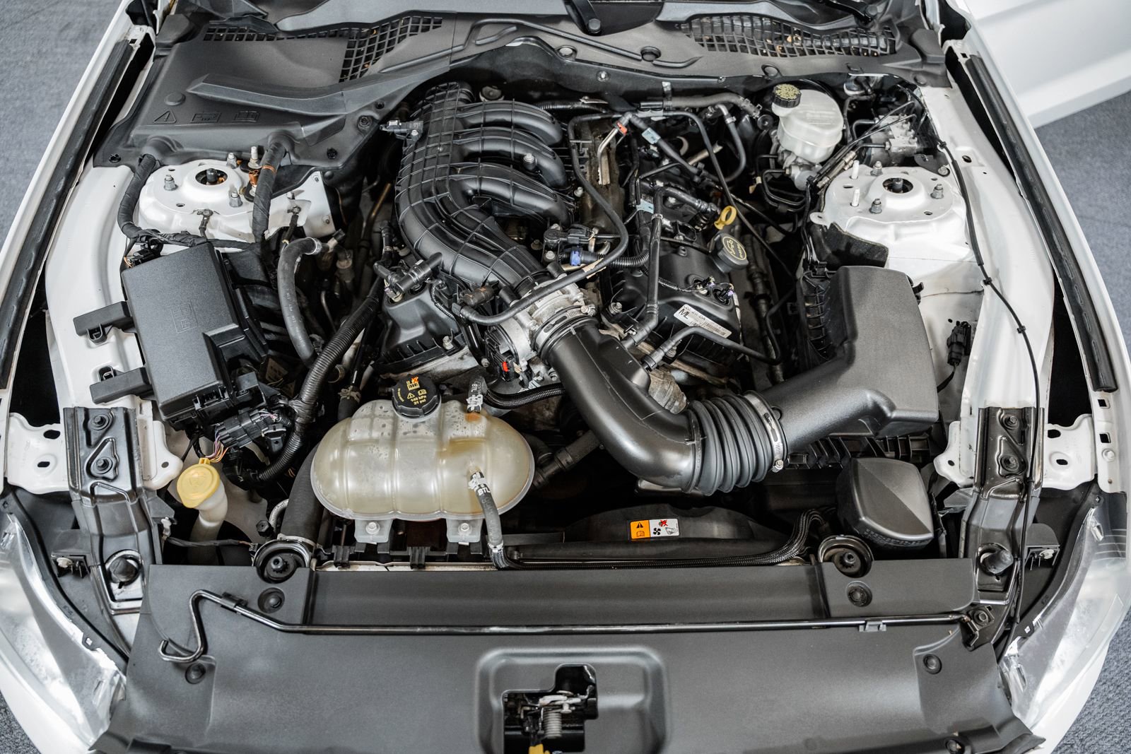 Certified 2017 Ford Mustang Coupe image 19